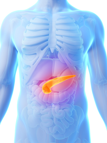 Type 1 Diabetes Patients’ Lives Can Be Significantly Improved By External Artificial Pancreases