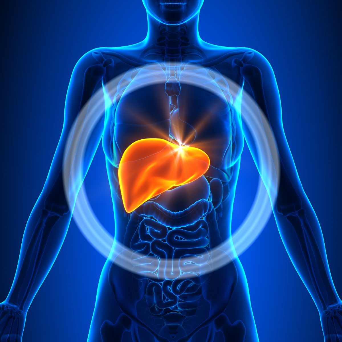 Type 2 Diabetes Patients at Risk of Developing Nonalcoholic Fatty Liver ...