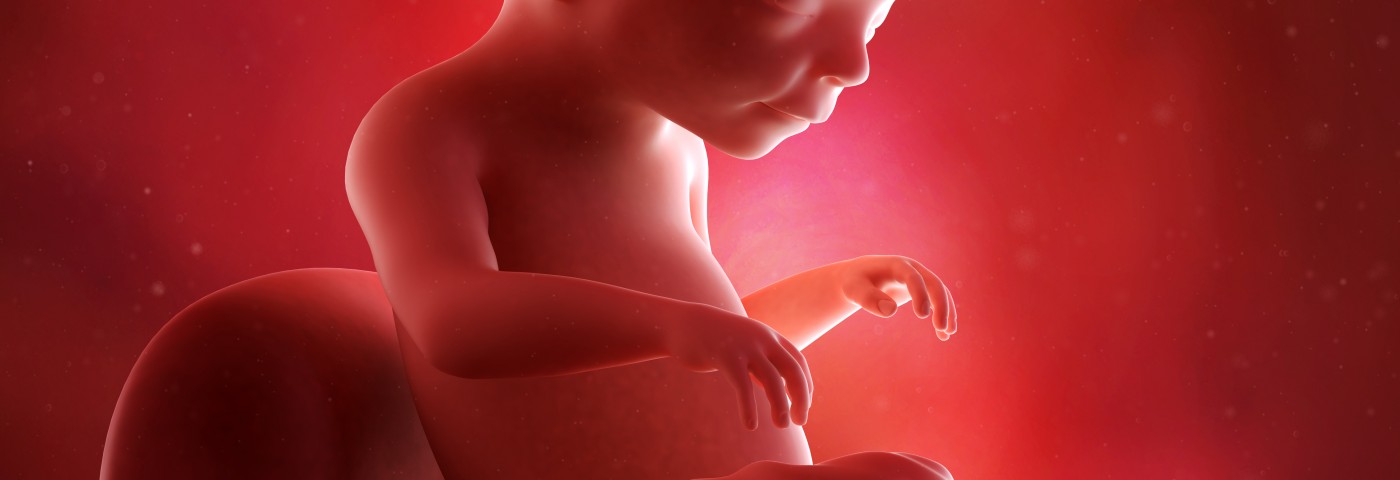Gestational Diabetes Found to Be Correlated to Fetus Delayed Response to Auditory Stimulus