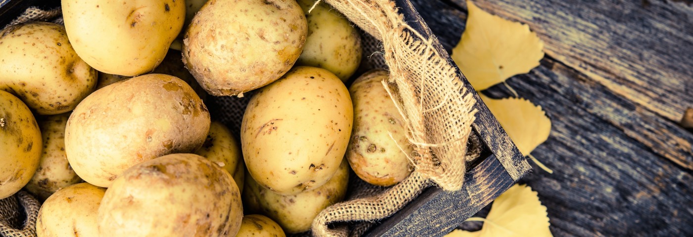 Gestational Diabetes Risk Appears Higher In Women Who Eat Many Potatoes
