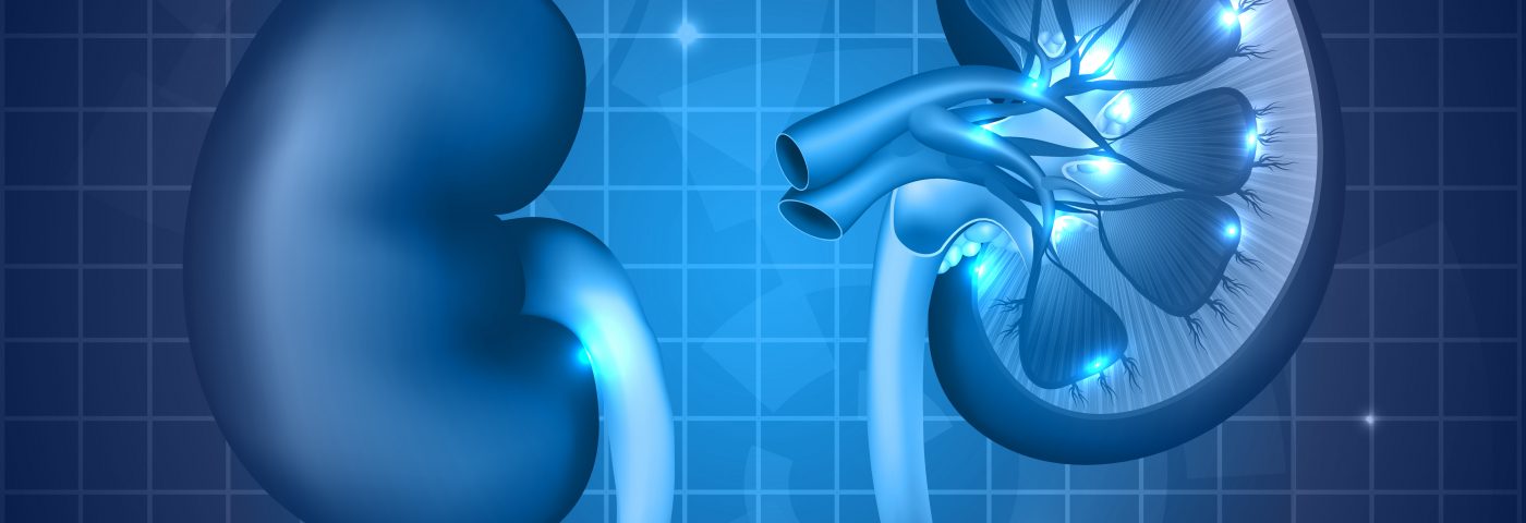 Chronic Kidney Disease Can Cause Diabetes, Study Finds